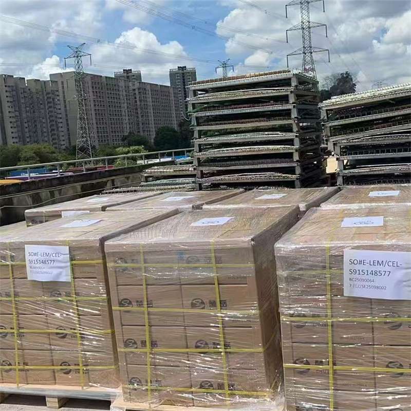 新田县博州特色物流：多元服务与运输线路探秘