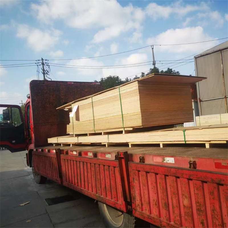 新田县探索多元化物流服务：从专线到供应链