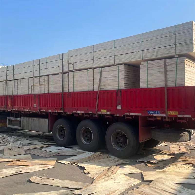 新田县探寻会东县进仓物流的多元运输奥秘